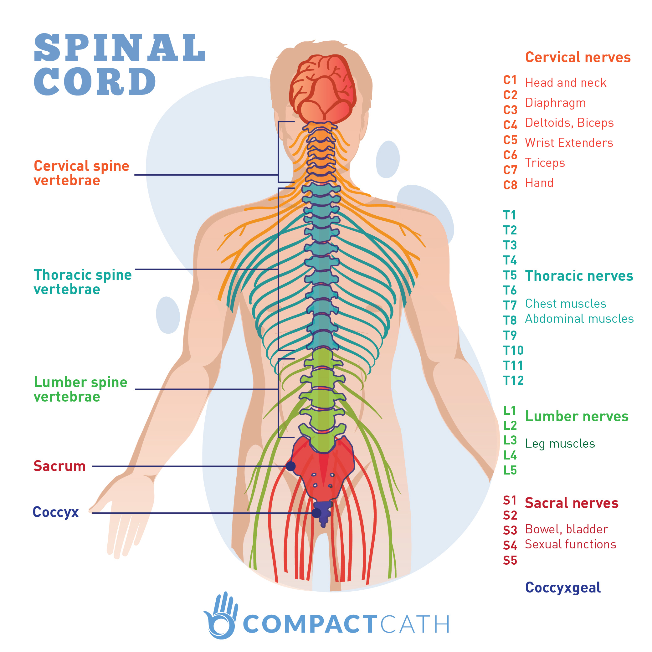 Spinal Cord Injuries And Neurogenic Bladders CompactCath